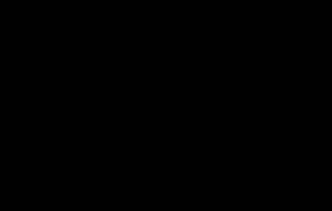 Siyah melamin dekor (D107)